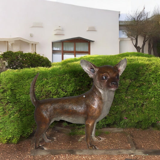 Standing Chihuahua Bronze Statue -  Size: 6"L x 16"W x 14"H.