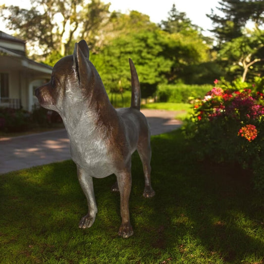Standing Chihuahua Bronze Statue -  Size: 6"L x 16"W x 14"H.