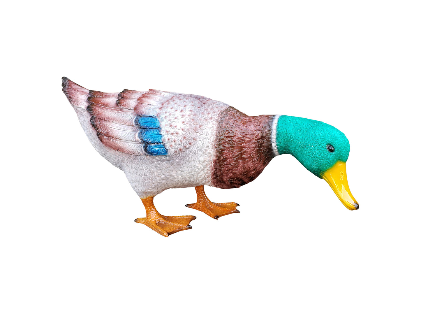 Duck Standing Looking Down Bronze Statue - Size: 24"L x 9"W x 12"H.