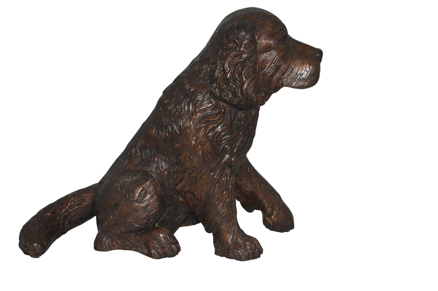 Cocker Spaniel dog Sitting Bronze Statue -  Size: 20"L x 10"W x 16"H.