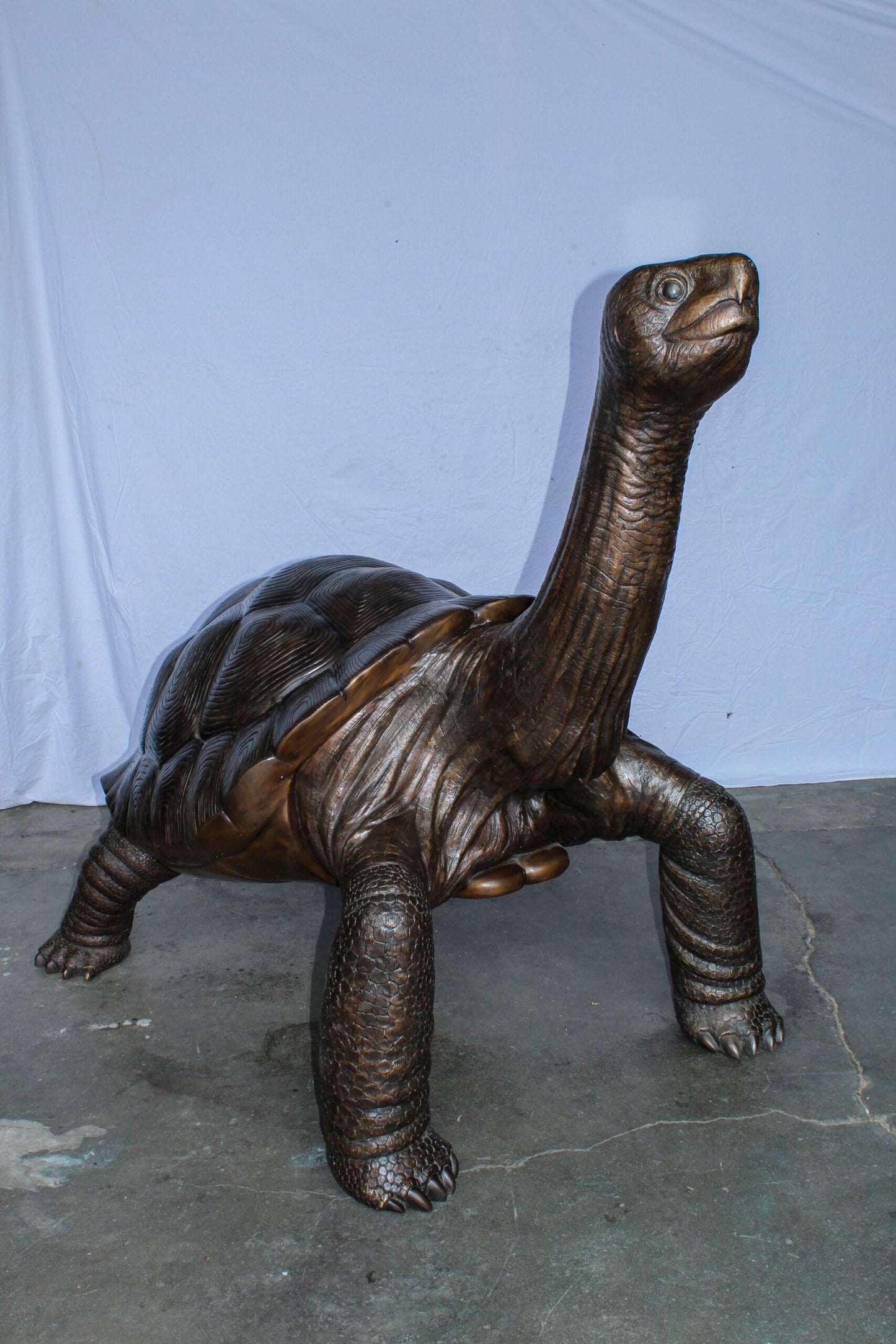 Giant Bronze Tortoise Statue with Detailed Textured Shell 66" x 41" x 59"H
