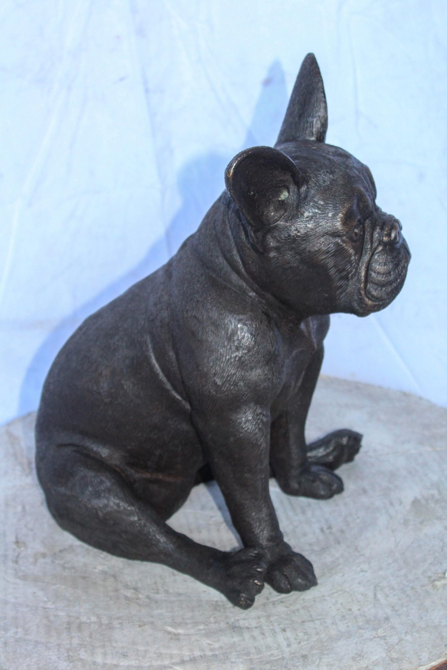 Bronze Statue of French Bulldog Sitting, Elegant Canine Decor 12" x 12" x 17"H