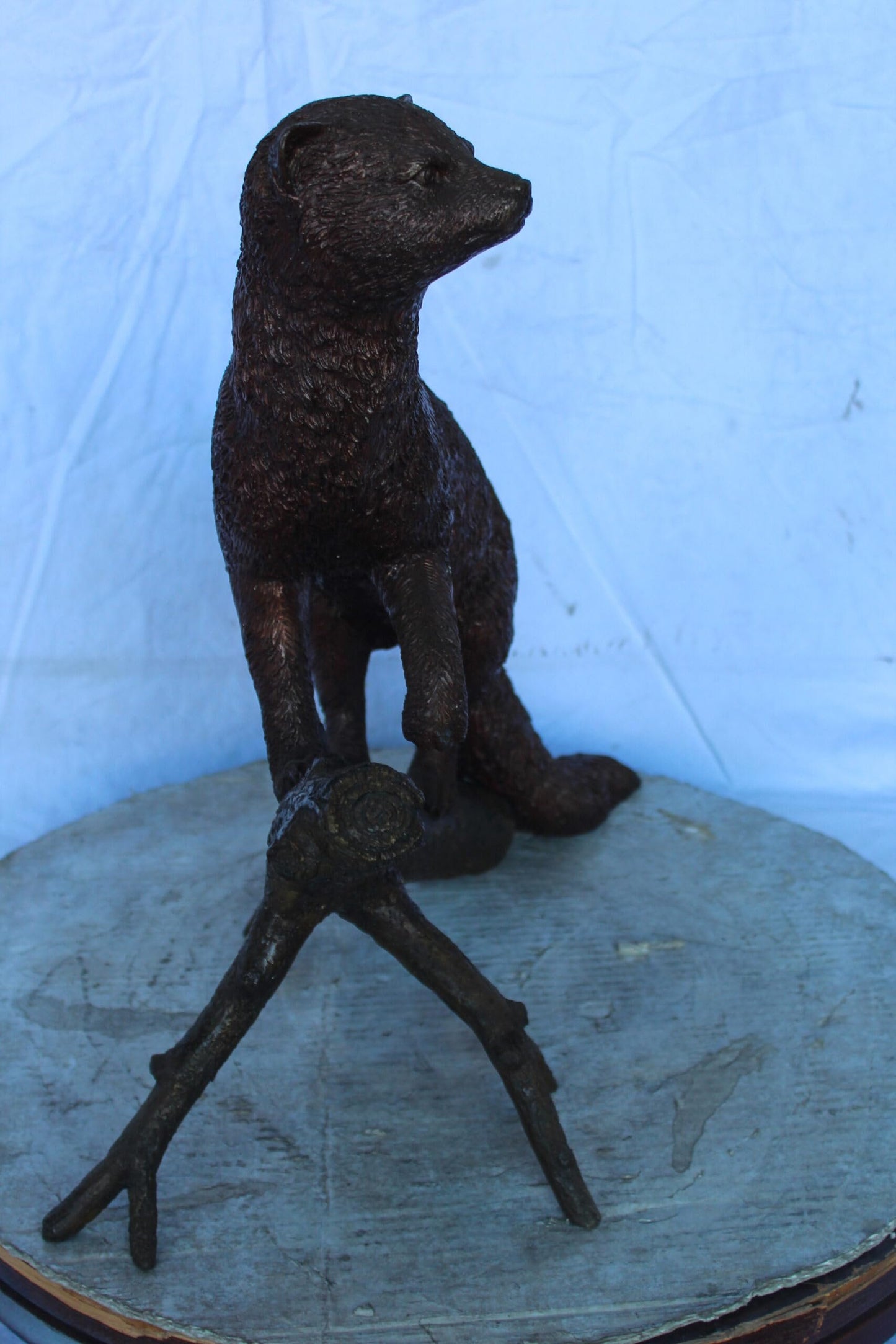 Bronze Statue of a Mongoose Climbing a Tree Branch 24" x 12" x 20"H