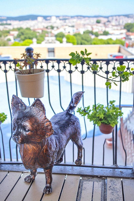 Pomeranian Dog Bronze Statue in a Graceful Standing Pose 18" x 6" x 14"H