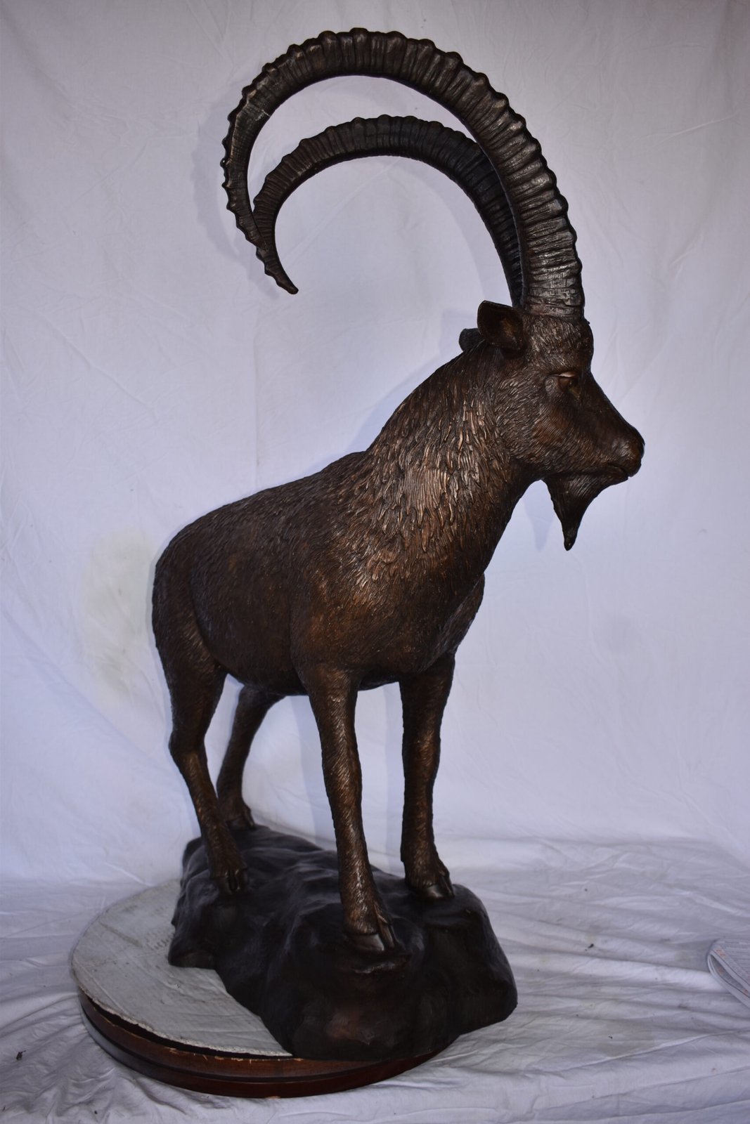 Standing Lifesize Mountain Goat Bronze Statue - Size: 22"L x 36"W x 48"H.
