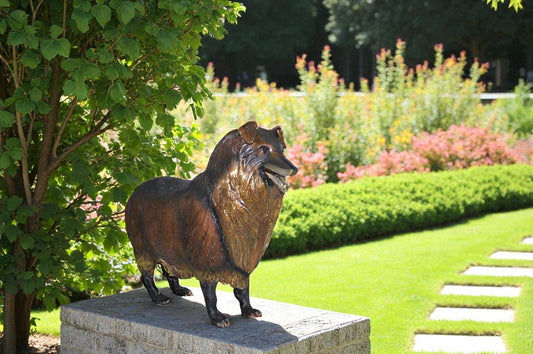 Collie Dog Bronze Statue - Size: 31"L x 9"W x 24"H.