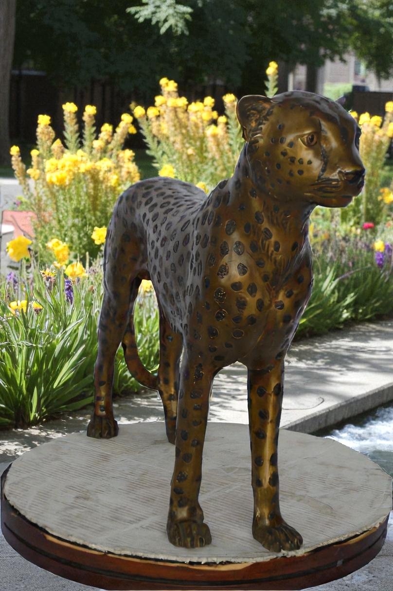 Baby Cheetah, Cub, Bronze Statue - Size: 30"L x 10"W x 25"H.
