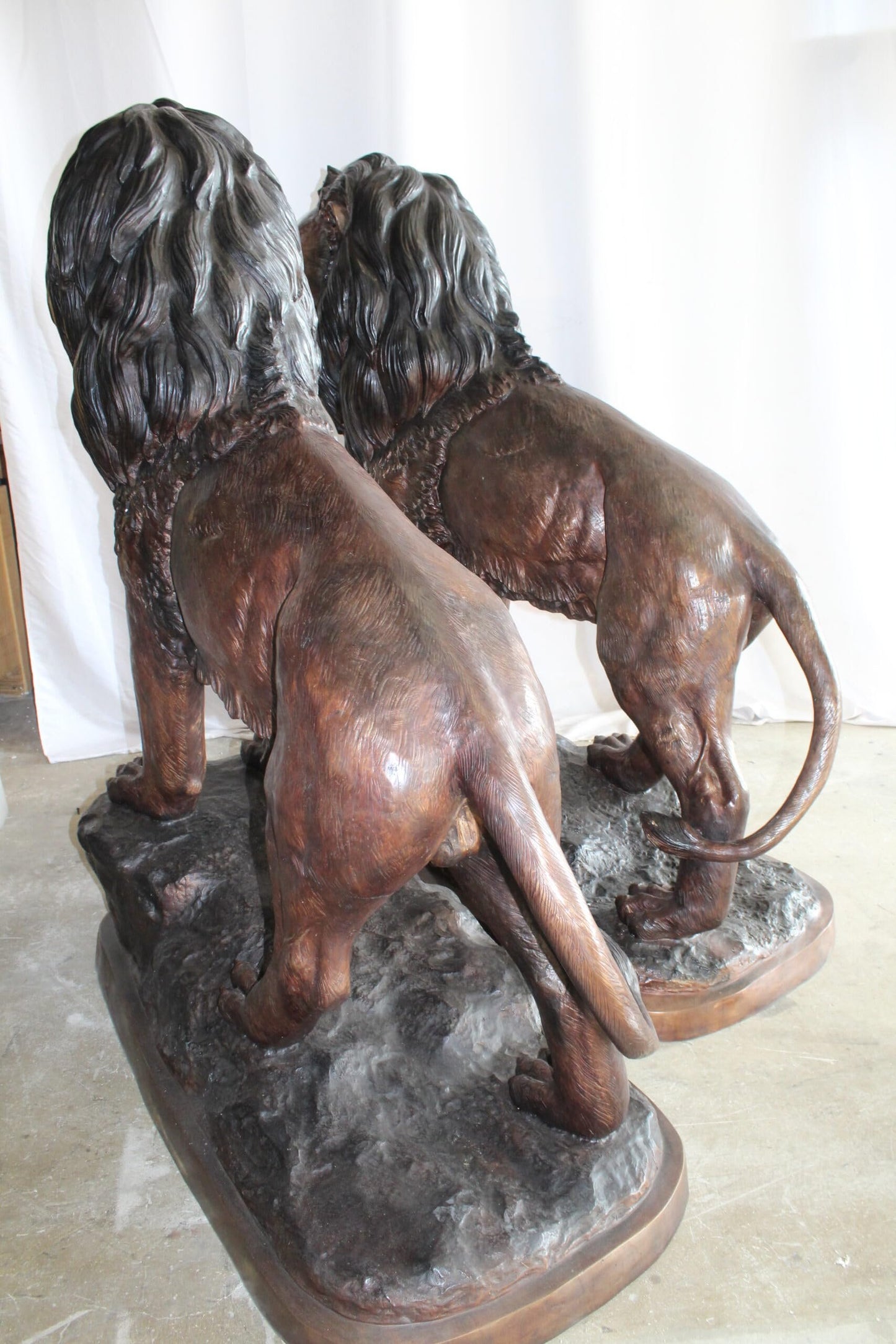 Lifesized Pair of Lions Bronze Statues 58" x 30" x 62"H