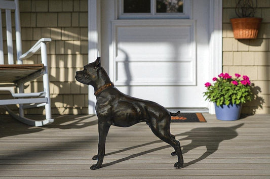 Boxer Dog bronze statue - Size: 35"L x 10"W x 36"H.