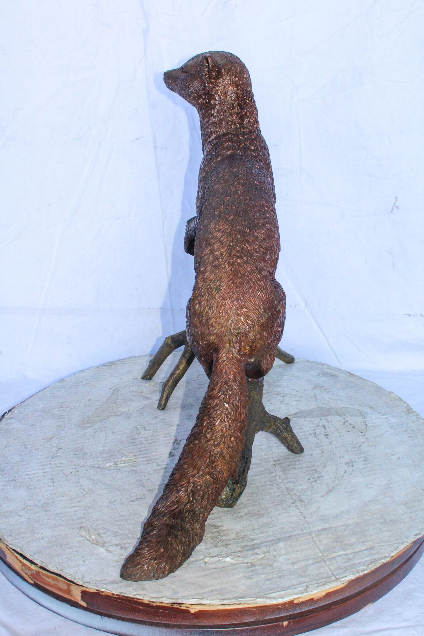 Bronze Statue of a Mongoose Climbing a Tree Branch 24" x 12" x 20"H