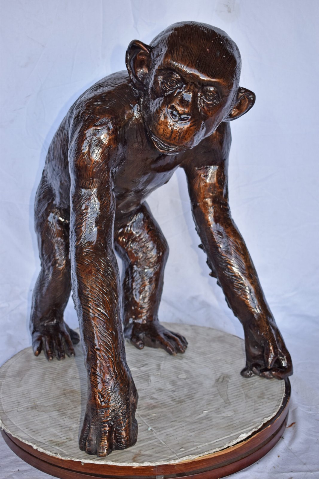 Chimpanzee Standing and Looking around Bronze Statue - Size: 24" x 20" x 28"H