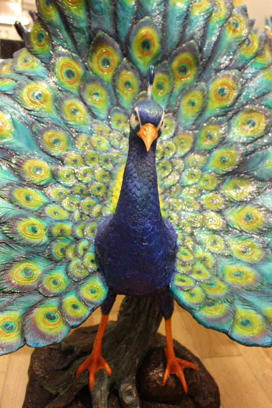 Colorful Peacock Bronze Statue -  Size: 24"L x 39"W x 35"H. 