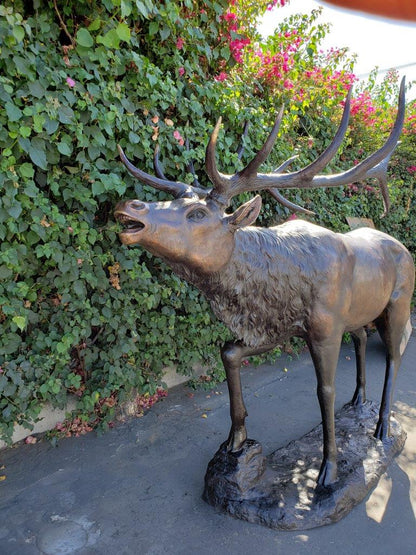 Life-Size Elk Bronze Statue -  Size: 43"L x 99"W x 87"H.
