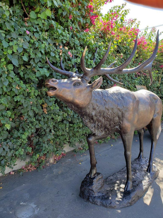 Life-Size Elk Bronze Statue -  Size: 43"L x 99"W x 87"H.