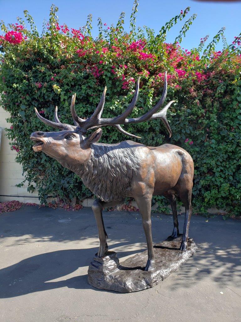 Life-Size Elk Bronze Statue -  Size: 43"L x 99"W x 87"H.