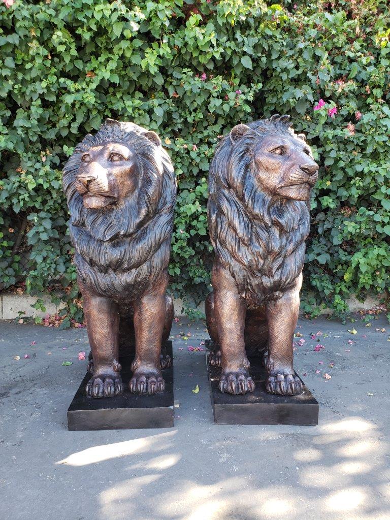 Pair of Life-size lions bronze statues -  Size: 17"L x 35"W x 47"H.
