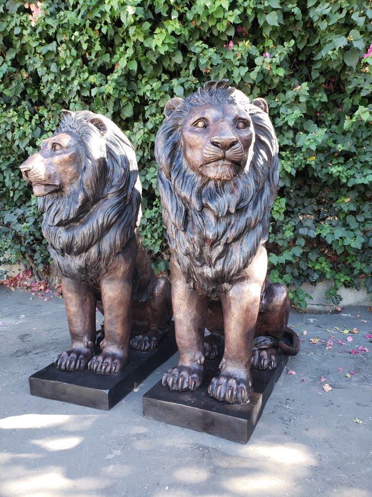 Pair of Life-size lions bronze statues -  Size: 17"L x 35"W x 47"H.