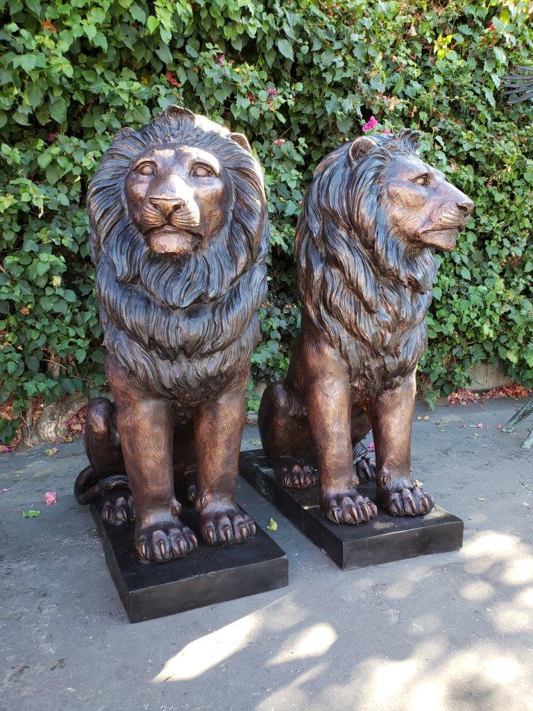 Pair of Life-size lions bronze statues -  Size: 17"L x 35"W x 47"H.