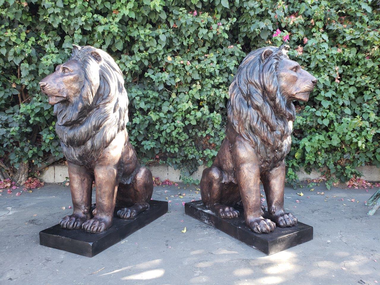 Pair of Life-size lions bronze statues -  Size: 17"L x 35"W x 47"H.