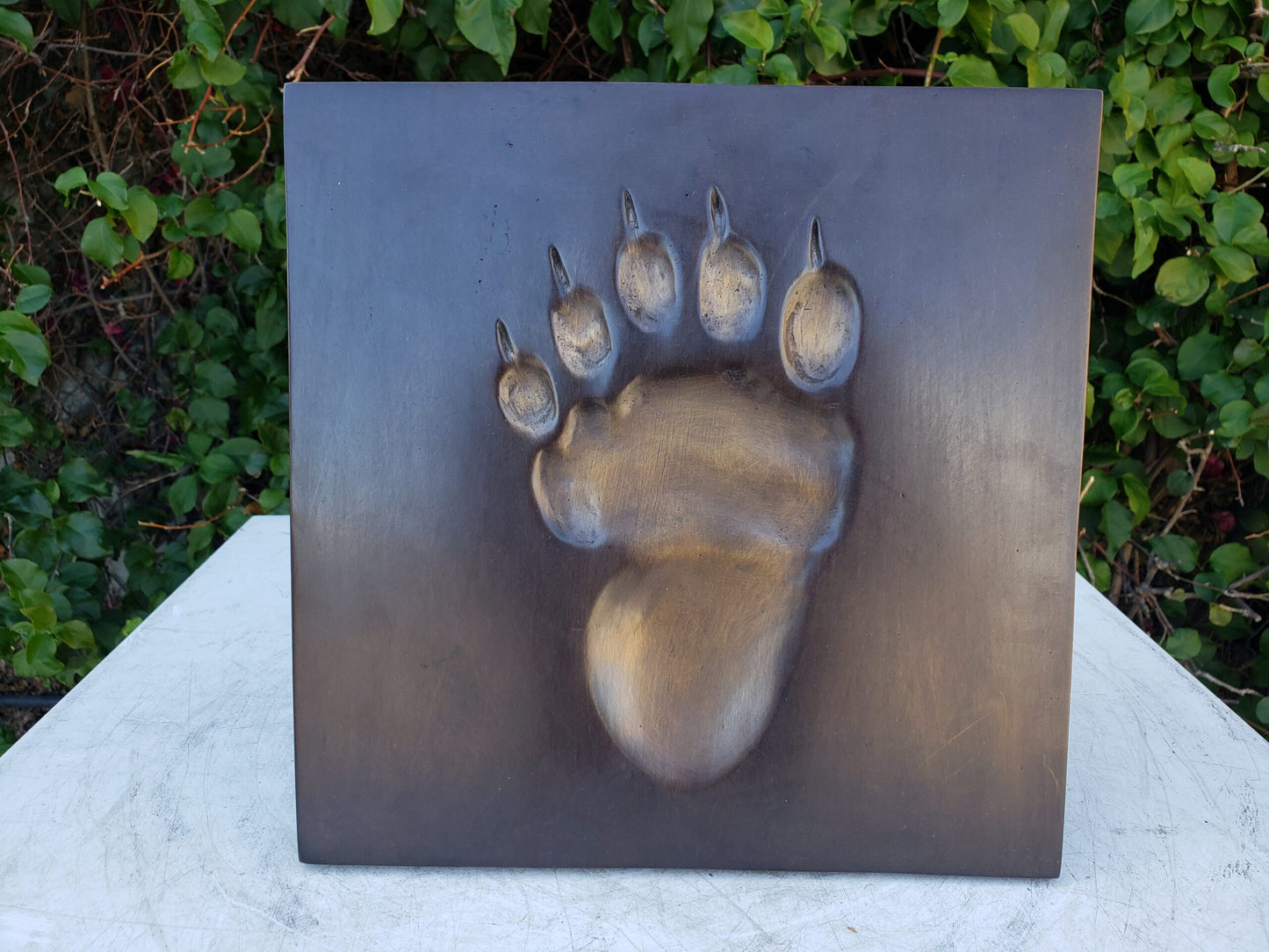 Bear Paw Print made of Bronze Wall decor Size: 10" x 10" x 1"H