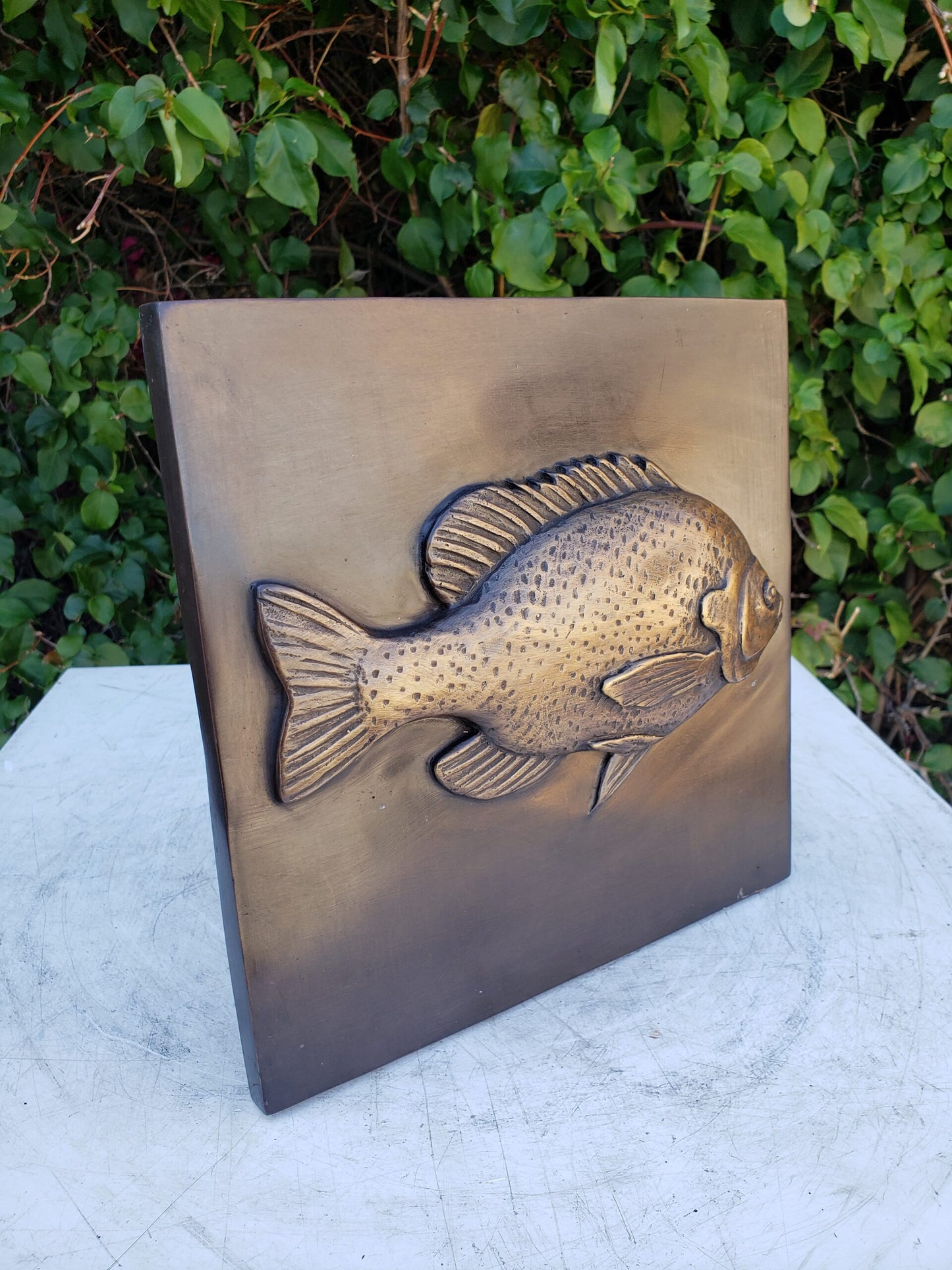 Single Fish made of Bronze Wall decor Size: 10" x 10" x 1"H