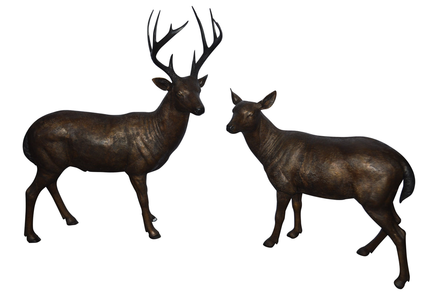 Pair of life size deer bronze statue - Size: 17"L x 44"W x 52"H.