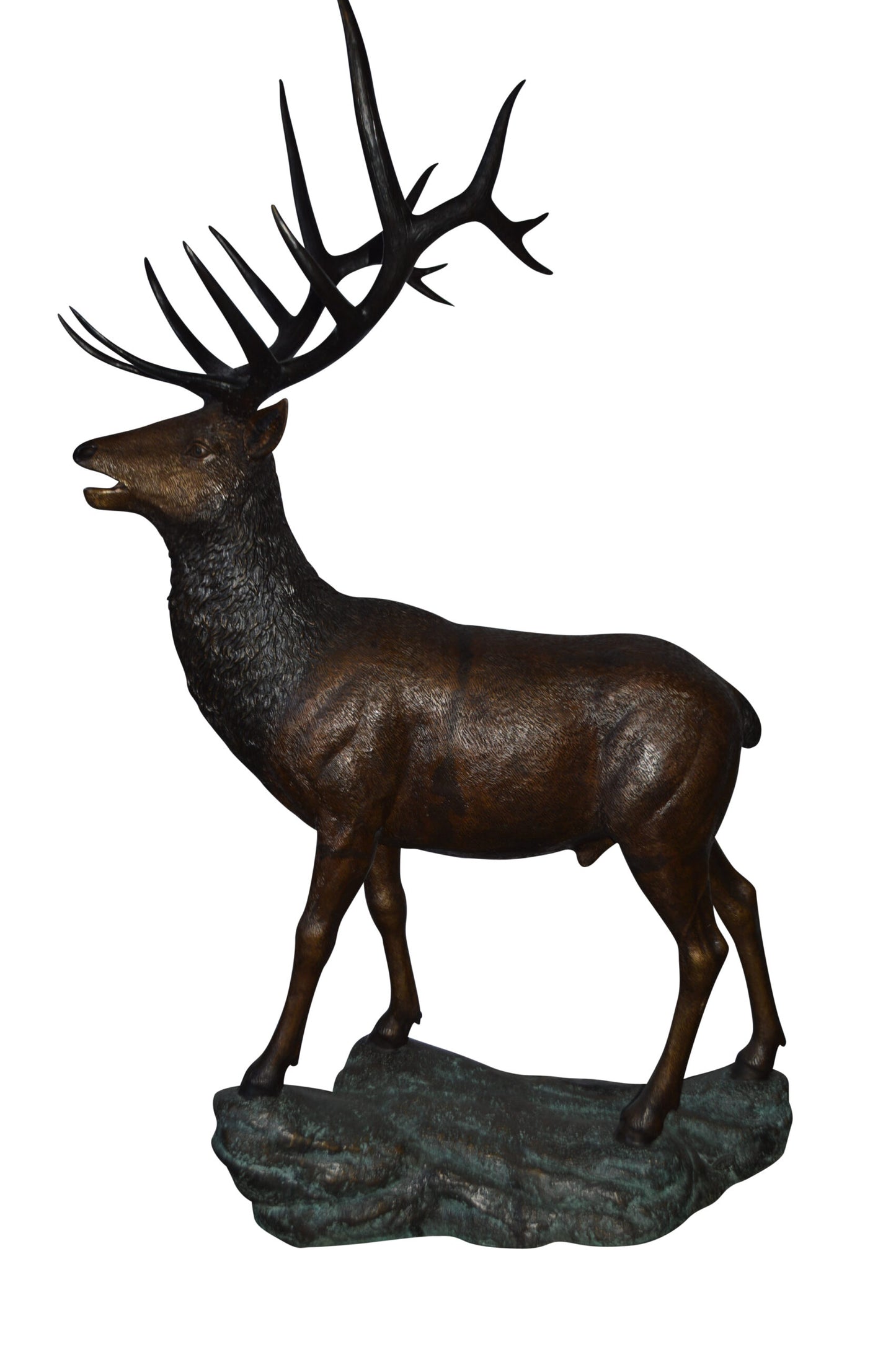Standing Elk, life size bronze statue - Size: 42"L x 31"W x 77"H.