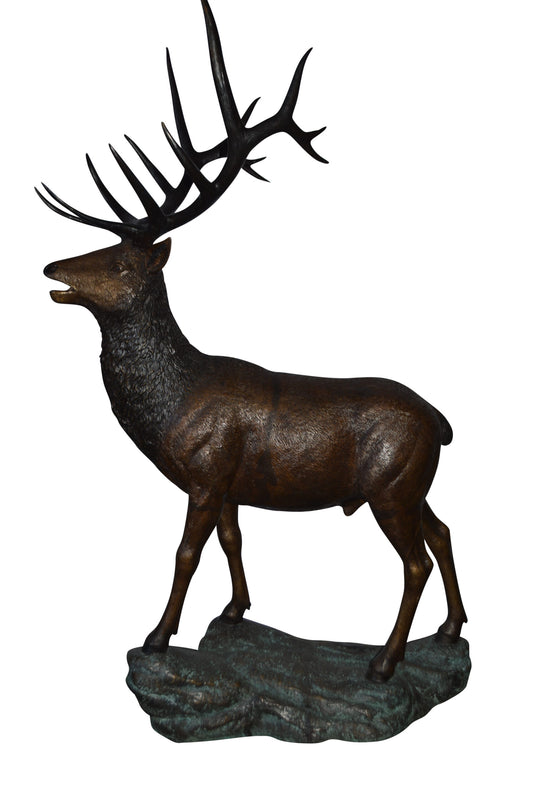 Standing Elk, life size bronze statue - Size: 42"L x 31"W x 77"H.