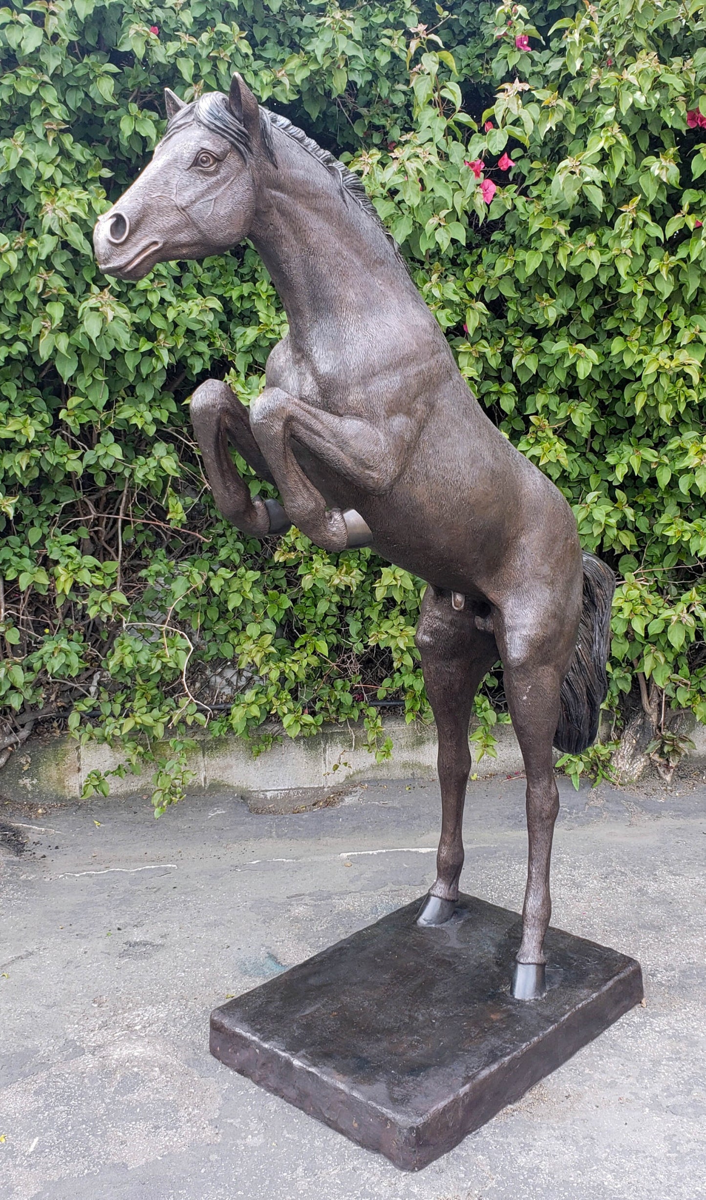 Life Size Rearing Horse Bronze Statue Outdoor Equestrian Art 58" x 21" x 76"H