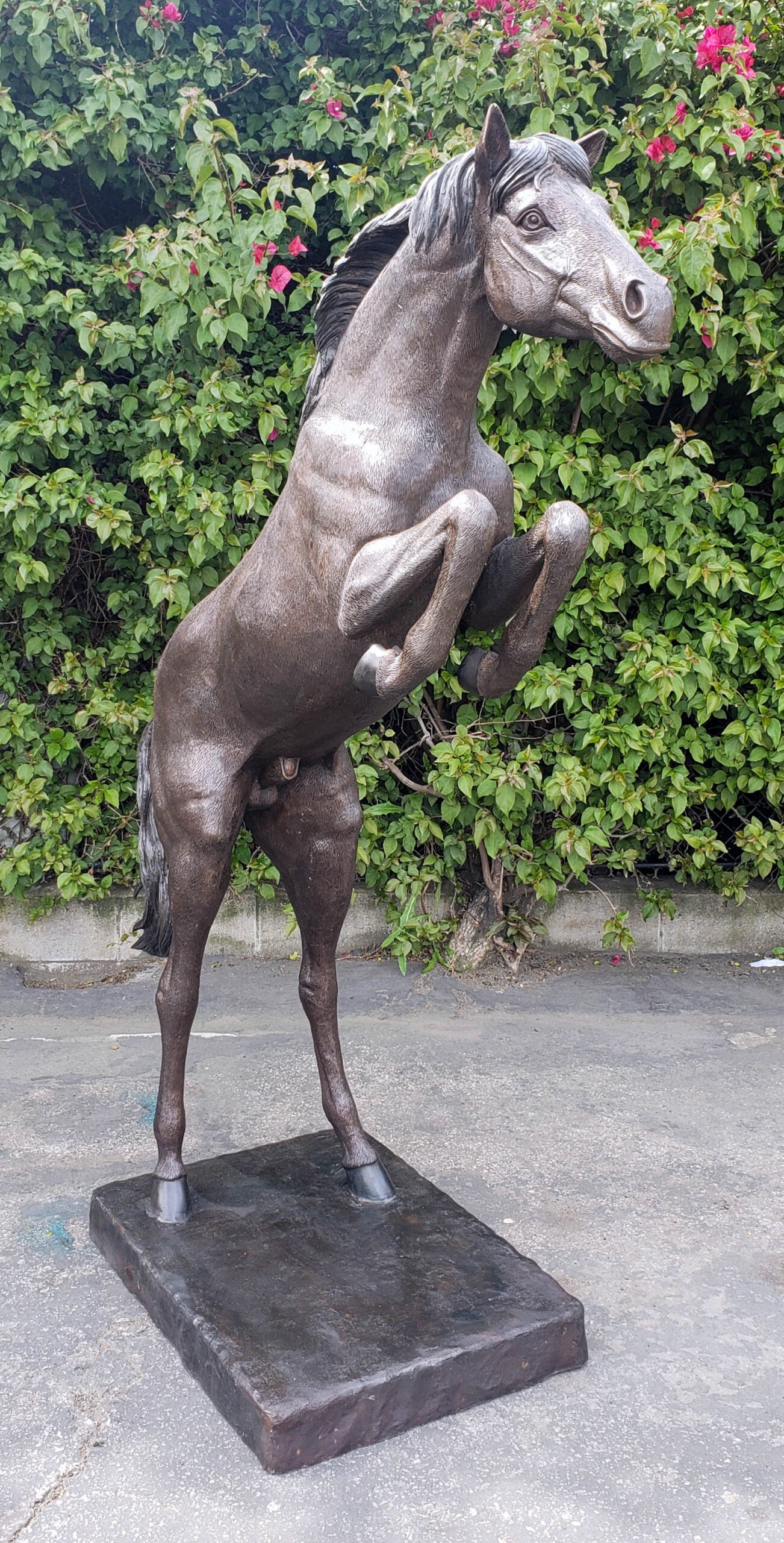 Life Size Rearing Horse Bronze Statue Outdoor Equestrian Art 58" x 21" x 76"H