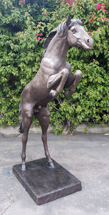 Life Size Rearing Horse Bronze Statue Outdoor Equestrian Art 58" x 21" x 76"H