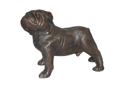 Bulldog Bronze Statue -  Size: 20"L x 9"W x 15"H.