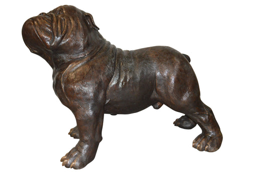Bulldog Giant Bronze Statue -  Size: 62"L x 26"W x 44"H.