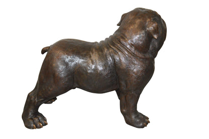 Bulldog Giant Bronze Statue -  Size: 62"L x 26"W x 44"H.