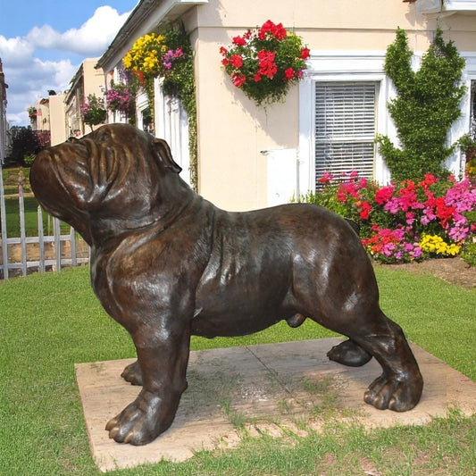 Bulldog Giant Bronze Statue -  Size: 62"L x 26"W x 44"H.