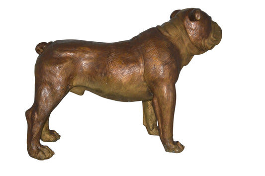 Bulldog Medium Bronze Statue -  Size: 29"L x 11"W x 20"H.