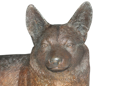 Corgi dog Bronze Statue -  Size: 20"L x 10"W x 11.5"H. 