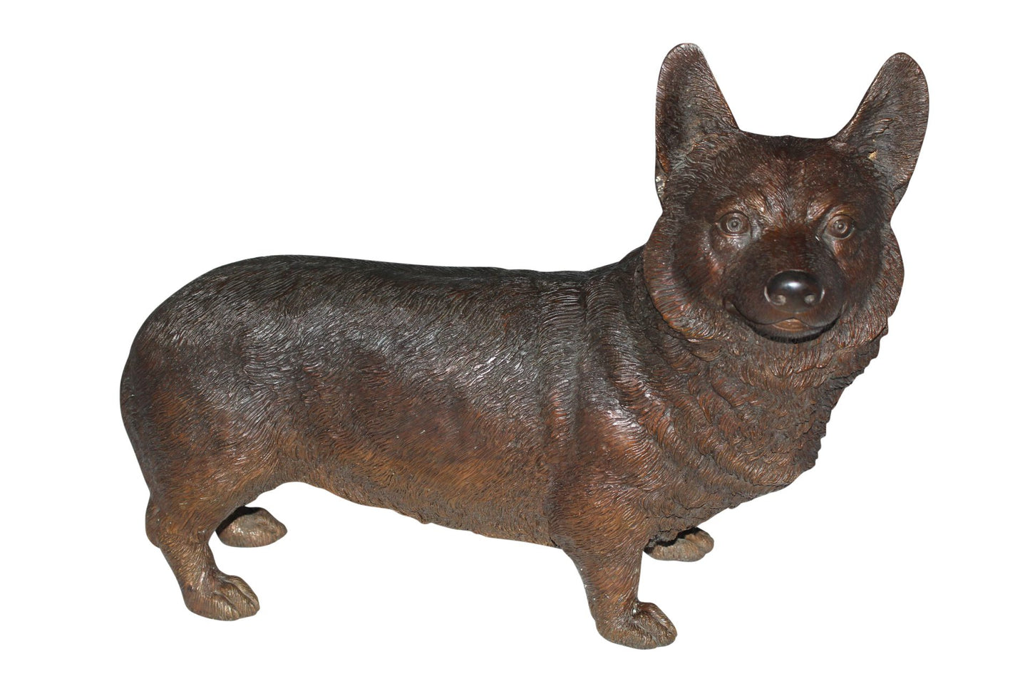 Corgi dog standing Bronze Statue -  Size: 20"L x 8"W x 15"H. 