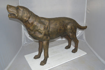 Labrador Retriever Bronze Statue -  Size: 12"L x 50"W x 31"H. 
