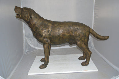 Labrador Retriever Bronze Statue -  Size: 12"L x 50"W x 31"H. 