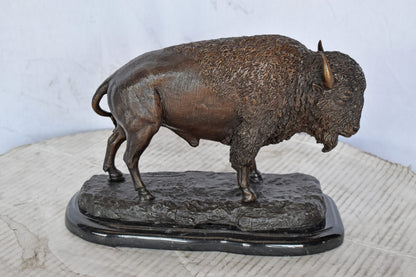 Bison standing and looking down Bronze Statue - Size: 11"L x 6"W x 8"H.