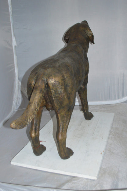 Labrador Retriever Bronze Statue -  Size: 12"L x 50"W x 31"H. 