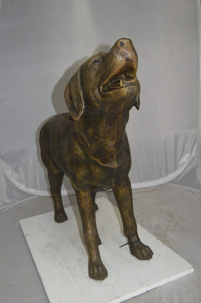 Labrador Retriever Bronze Statue -  Size: 12"L x 50"W x 31"H. 