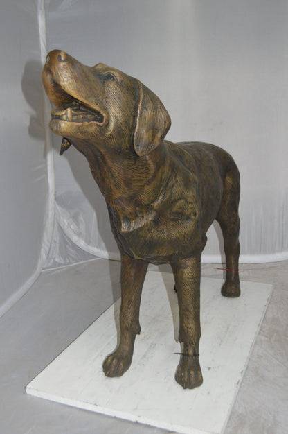 Labrador Retriever Bronze Statue -  Size: 12"L x 50"W x 31"H. 