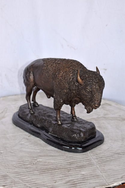 Bison standing and looking down Bronze Statue - Size: 11"L x 6"W x 8"H.