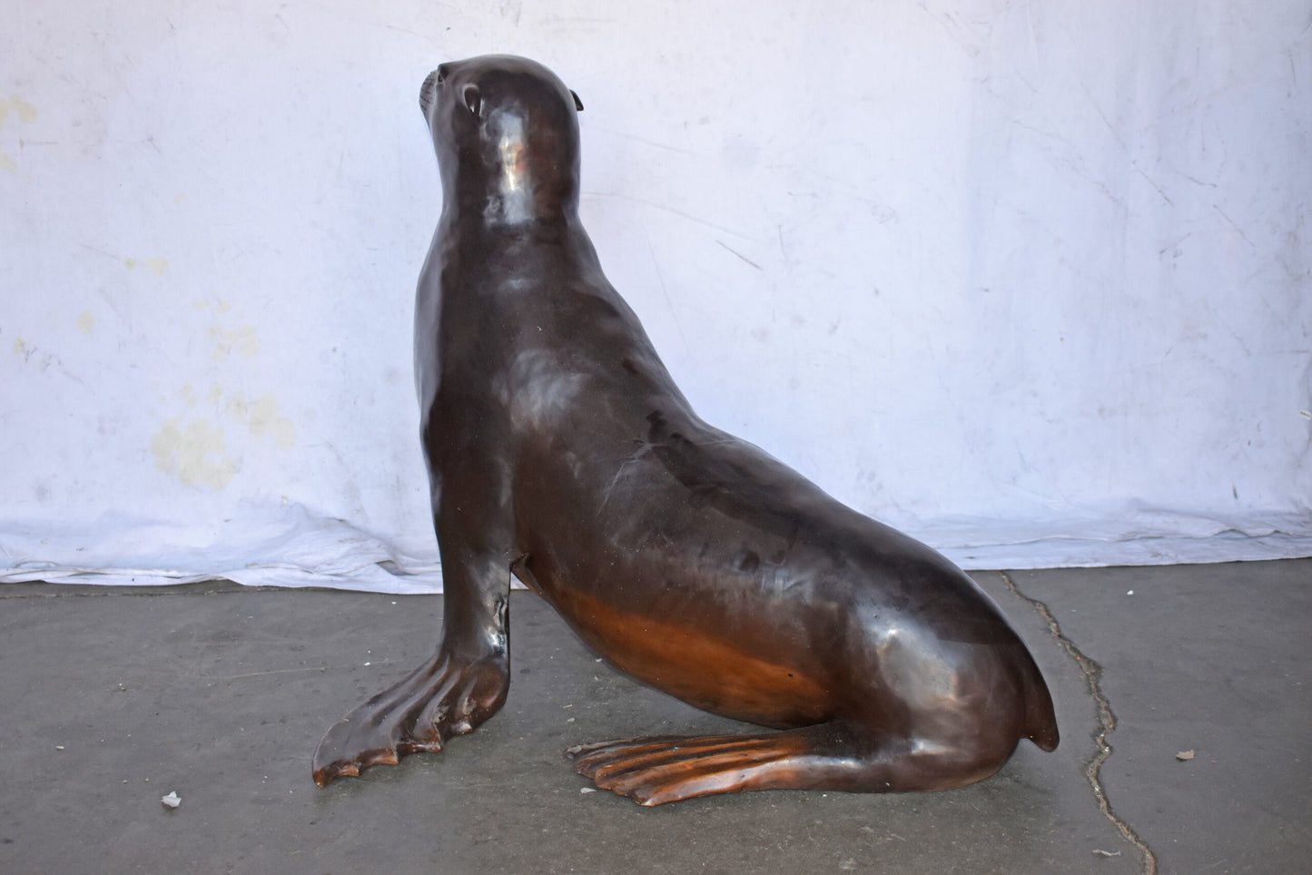 Perched Life Size Seal bronze statue - Size: 40"L x 35"W x 31"H.