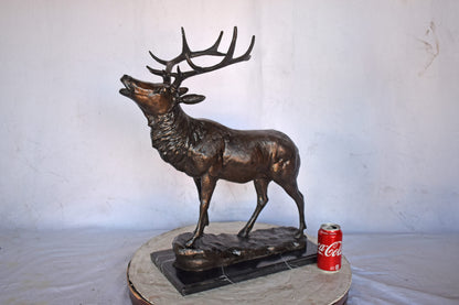 Elk Looking Up Bronze Statue - Size: 20"L x 12"W x 25"H.