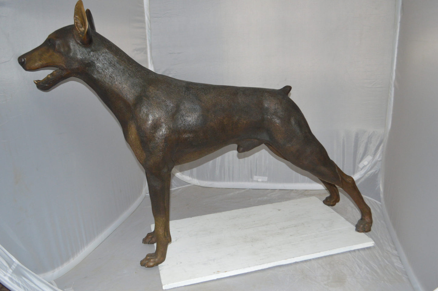 Doberman - Large Bronze Statue -  Size: 14"L x 52"W x 38"H. 