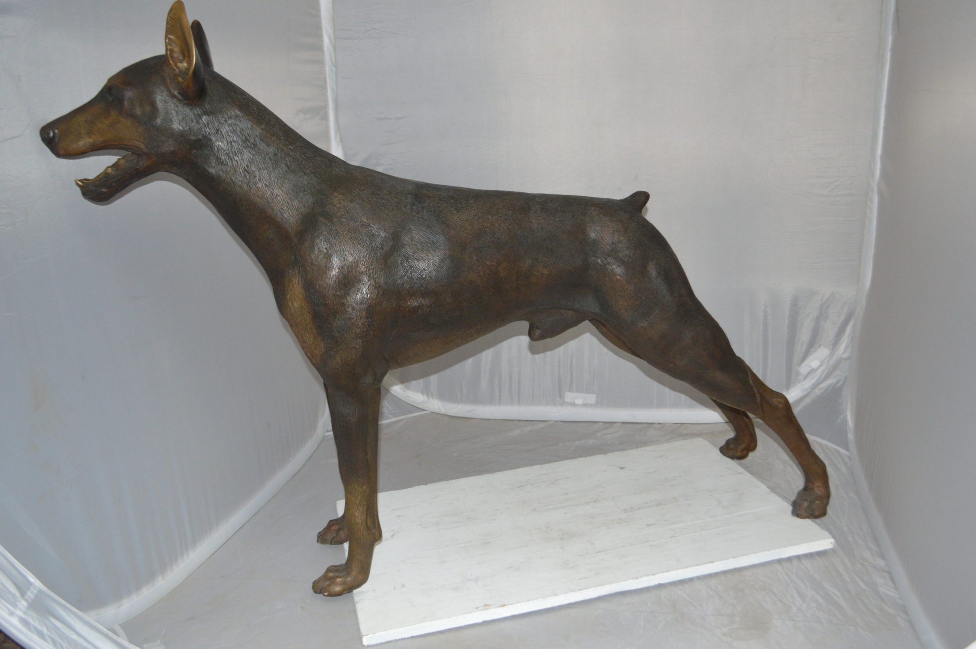 Doberman - Large Bronze Statue -  Size: 14"L x 52"W x 38"H. 