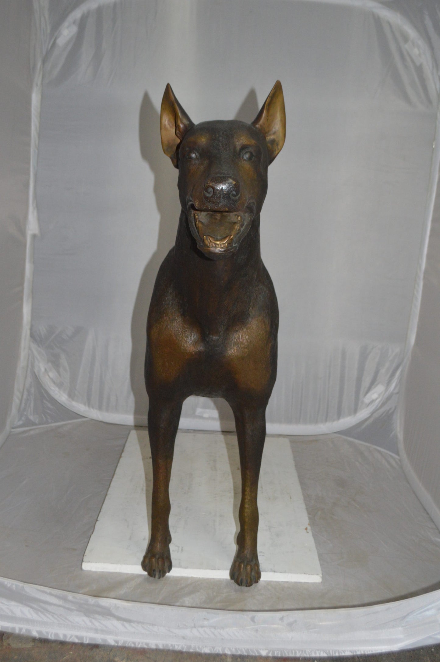 Doberman - Large Bronze Statue -  Size: 14"L x 52"W x 38"H. 